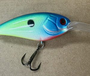 Martin-DD 15ft Citrus Shad