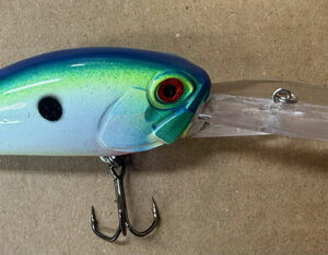 Martin-DD 20ft Citrus Shad